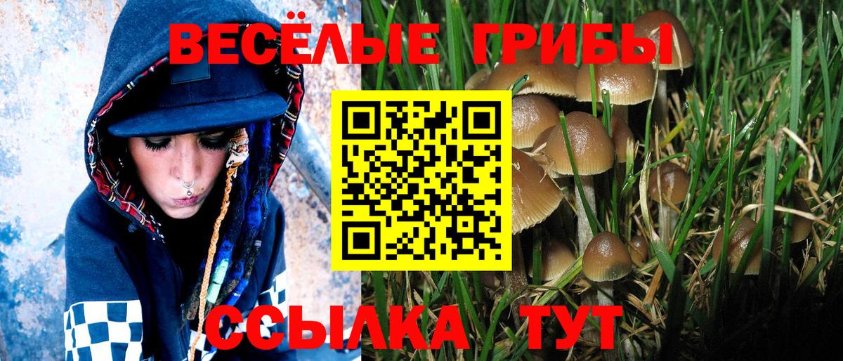 Галлюциногенные грибы Cubensis Зеленодольск