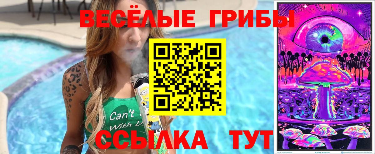 Галлюциногенные грибы Cubensis  Галлюциногенные грибы Psilocybe  Зеленодольск  Вход с VPN 