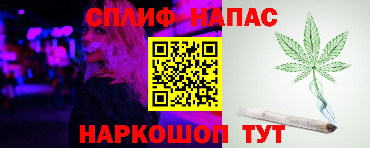 Конопля гибрид Зеленодольск
